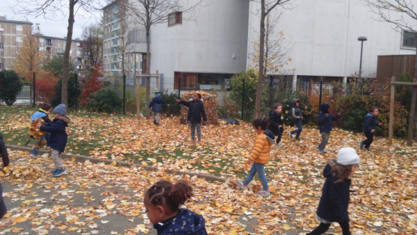 En automne il faut ramasser les feuilles et les mettre dans le composteur